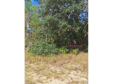 Great opportunity to purchase an .80-acre homesite in the on Citrus Springs Country Club in Florida - for sale on GolfHomes.com, golf home, golf lot