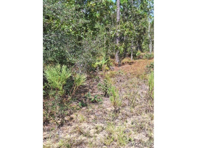 Great opportunity to purchase an .80-acre homesite in the on Citrus Springs Country Club in Florida - for sale on GolfHomes.com, golf home, golf lot