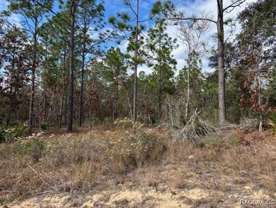 Great opportunity to purchase an .80-acre homesite in the on Citrus Springs Country Club in Florida - for sale on GolfHomes.com, golf home, golf lot