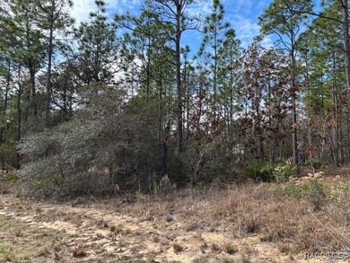 Great opportunity to purchase an .80-acre homesite in the on Citrus Springs Country Club in Florida - for sale on GolfHomes.com, golf home, golf lot