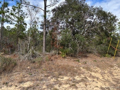Great opportunity to purchase an .80-acre homesite in the on Citrus Springs Country Club in Florida - for sale on GolfHomes.com, golf home, golf lot