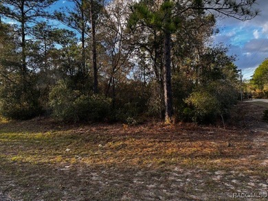 Beautiful Homesite in Citrus Springs!! This 1.57-acre corner lot on Pine Ridge Community Golf and Country Club in Florida - for sale on GolfHomes.com, golf home, golf lot