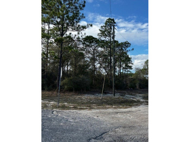 Beautiful Homesite in Citrus Springs!! This 1.57-acre corner lot on Pine Ridge Community Golf and Country Club in Florida - for sale on GolfHomes.com, golf home, golf lot