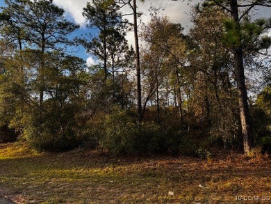 Beautiful Homesite in Citrus Springs!! This 1.57-acre corner lot on Pine Ridge Community Golf and Country Club in Florida - for sale on GolfHomes.com, golf home, golf lot