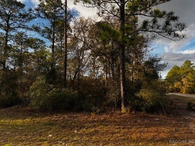 Beautiful Homesite in Citrus Springs!! This 1.57-acre corner lot on Pine Ridge Community Golf and Country Club in Florida - for sale on GolfHomes.com, golf home, golf lot