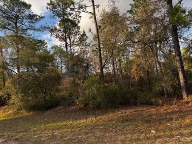 Beautiful Homesite in Citrus Springs!! This 1.57-acre corner lot on Pine Ridge Community Golf and Country Club in Florida - for sale on GolfHomes.com, golf home, golf lot
