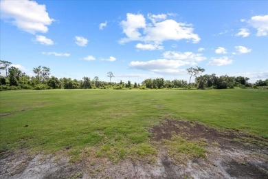 Welcome to this stunning home in the highly sought-after Lake on Lake Ashton Golf Club in Florida - for sale on GolfHomes.com, golf home, golf lot