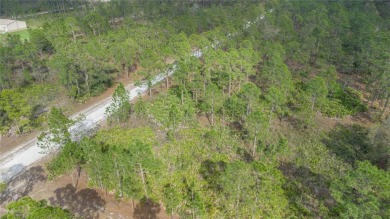 Build your dream home on this vacant lot located in the on Indian Lake Estates Golf and Country Club in Florida - for sale on GolfHomes.com, golf home, golf lot