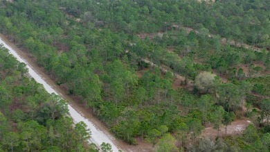 Build your dream home on this vacant lot located in the on Indian Lake Estates Golf and Country Club in Florida - for sale on GolfHomes.com, golf home, golf lot