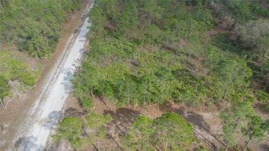 Build your dream home on this vacant lot located in the on Indian Lake Estates Golf and Country Club in Florida - for sale on GolfHomes.com, golf home, golf lot