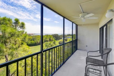 A View to Die For!  Discover the perfect blend of luxury and on Cove Cay Country Club in Florida - for sale on GolfHomes.com, golf home, golf lot