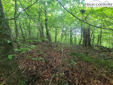 2 Prime building lots near the top of Sugar Mountain. These 2 on Sugar Mountain Golf Course in North Carolina - for sale on GolfHomes.com, golf home, golf lot