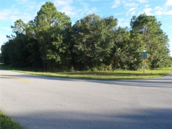 HUGE PRICE REDUCTION ON THIS DEEP CREEK CORNER LOT HAS PUBLIC on Kingsway Country Club in Florida - for sale on GolfHomes.com, golf home, golf lot