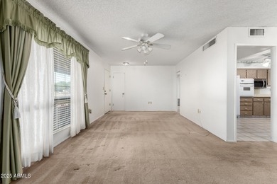 WELCOME HOME TO THE HEART OF SUN CITY, AZ with Solar plus a New on Sun City Lakes West and East in Arizona - for sale on GolfHomes.com, golf home, golf lot