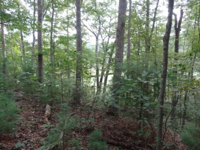 Welcome to this exquisite home site nestled on Country Club Lane on Lewisburg Elks Country Club in West Virginia - for sale on GolfHomes.com, golf home, golf lot