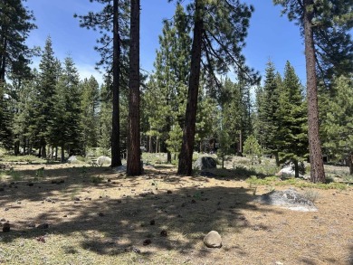 Sunny, south facing lot that backs directly to the Donner Lake on Coyote Moon Golf Course in California - for sale on GolfHomes.com, golf home, golf lot