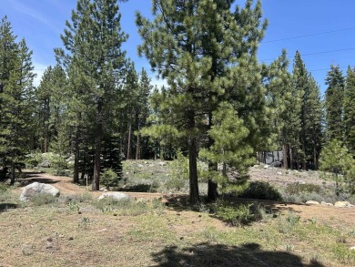 Sunny, south facing lot that backs directly to the Donner Lake on Coyote Moon Golf Course in California - for sale on GolfHomes.com, golf home, golf lot