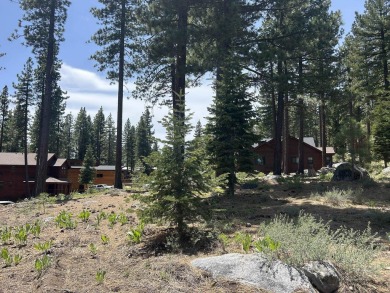 Sunny, south facing lot that backs directly to the Donner Lake on Coyote Moon Golf Course in California - for sale on GolfHomes.com, golf home, golf lot