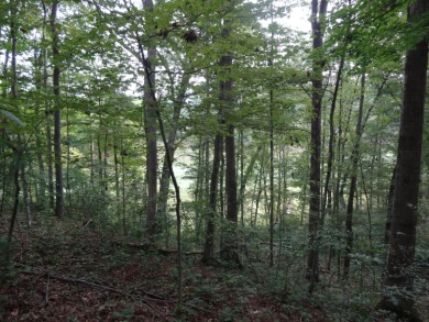 Welcome to this exquisite home site nestled on Country Club Lane on Lewisburg Elks Country Club in West Virginia - for sale on GolfHomes.com, golf home, golf lot