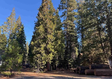 Nearly level, well maintained lot is located in the sought-after on Lake Almanor West Golf Course in California - for sale on GolfHomes.com, golf home, golf lot