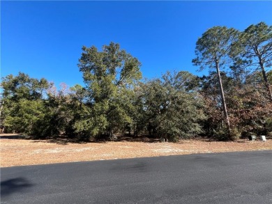 Check out this lovely 0.76 acre corner-lot on the golf course in on Sapelo Hammock Golf Club in Georgia - for sale on GolfHomes.com, golf home, golf lot