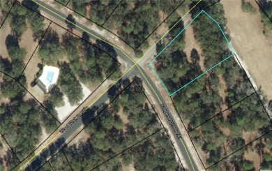 Check out this lovely 0.76 acre corner-lot on the golf course in on Sapelo Hammock Golf Club in Georgia - for sale on GolfHomes.com, golf home, golf lot