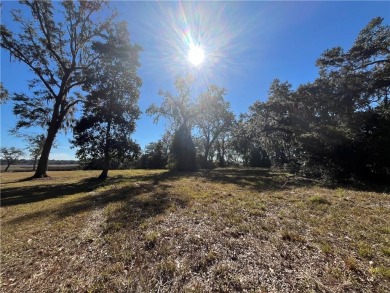 Wonderful Marsh-Front Homesite (1.63 acres) in Cooper's Point! on Sapelo Hammock Golf Club in Georgia - for sale on GolfHomes.com, golf home, golf lot