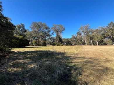 Wonderful Marsh-Front Homesite (1.63 acres) in Cooper's Point! on Sapelo Hammock Golf Club in Georgia - for sale on GolfHomes.com, golf home, golf lot