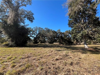 Wonderful Marsh-Front Homesite (1.63 acres) in Cooper's Point! on Sapelo Hammock Golf Club in Georgia - for sale on GolfHomes.com, golf home, golf lot