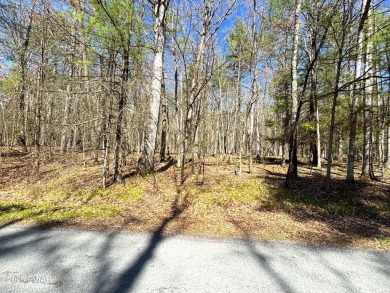 Build your dream home in Tink Wig Mountain Lake Estates. It's on Woodloch Springs Country Club in Pennsylvania - for sale on GolfHomes.com, golf home, golf lot