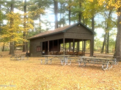 Build your dream home in Tink Wig Mountain Lake Estates. It's on Woodloch Springs Country Club in Pennsylvania - for sale on GolfHomes.com, golf home, golf lot