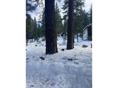 Ground floor unit with easy access to Diamond Peak Ski Resort on Incline Village Golf Course in Nevada - for sale on GolfHomes.com, golf home, golf lot