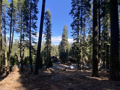 An amazing opportunity! With the amenities of the Lake Almanor on Lake Almanor West Golf Course in California - for sale on GolfHomes.com, golf home, golf lot