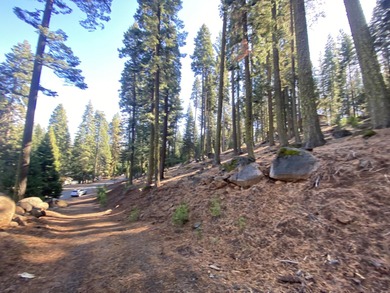 An amazing opportunity! With the amenities of the Lake Almanor on Lake Almanor West Golf Course in California - for sale on GolfHomes.com, golf home, golf lot