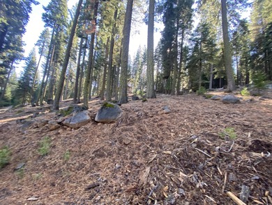 An amazing opportunity! With the amenities of the Lake Almanor on Lake Almanor West Golf Course in California - for sale on GolfHomes.com, golf home, golf lot