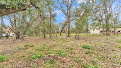 High and Dry, flood zone X!!! Tired of the busy city and hustle on Lake Jovita Golf and Country Club in Florida - for sale on GolfHomes.com, golf home, golf lot