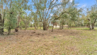 High and Dry, flood zone X!!! Tired of the busy city and hustle on Lake Jovita Golf and Country Club in Florida - for sale on GolfHomes.com, golf home, golf lot