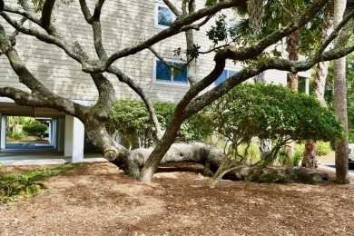 Great opportunity to own your slice of heaven at Seagrove Villas on Wild Dunes Harbor Golf Resort in South Carolina - for sale on GolfHomes.com, golf home, golf lot