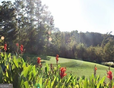 Lot 851 offers a stunning location, backing directly onto the on The Trail At Chickasaw Pointe in South Carolina - for sale on GolfHomes.com, golf home, golf lot