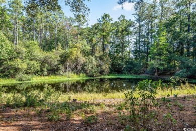 Welcome to your Lowcountry retreat in the prestigious River on River Club in South Carolina - for sale on GolfHomes.com, golf home, golf lot