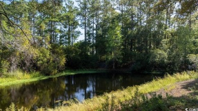 Welcome to your Lowcountry retreat in the prestigious River on River Club in South Carolina - for sale on GolfHomes.com, golf home, golf lot