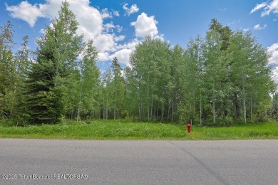 Rare Opportunity in Teton Pines!
Nestled in the heart of the on Teton Pines Golf Club in Wyoming - for sale on GolfHomes.com, golf home, golf lot