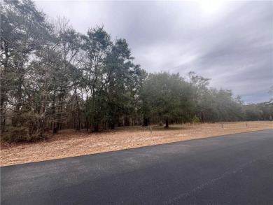Check out this lovely 0.71 acre homesite that backs up to the on Sapelo Hammock Golf Club in Georgia - for sale on GolfHomes.com, golf home, golf lot