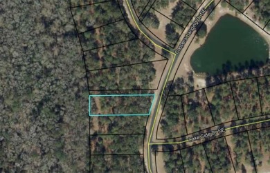 Check out this lovely 0.71 acre homesite that backs up to the on Sapelo Hammock Golf Club in Georgia - for sale on GolfHomes.com, golf home, golf lot