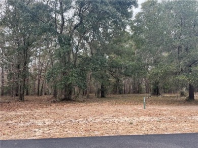 Check out this lovely 0.71 acre homesite that backs up to the on Sapelo Hammock Golf Club in Georgia - for sale on GolfHomes.com, golf home, golf lot