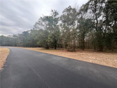Check out this lovely 0.71 acre homesite that backs up to the on Sapelo Hammock Golf Club in Georgia - for sale on GolfHomes.com, golf home, golf lot