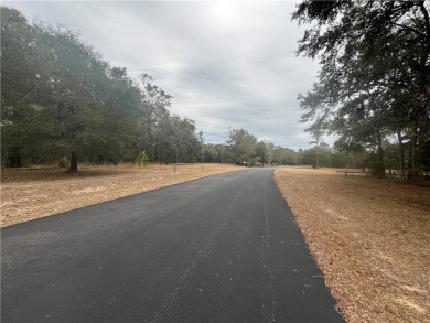 Check out this lovely 0.71 acre homesite that backs up to the on Sapelo Hammock Golf Club in Georgia - for sale on GolfHomes.com, golf home, golf lot