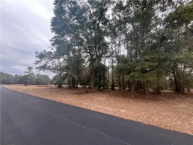 Check out this lovely 0.71 acre homesite that backs up to the on Sapelo Hammock Golf Club in Georgia - for sale on GolfHomes.com, golf home, golf lot