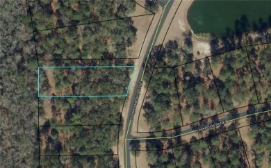 Check out this lovely 0.71 acre homesite that backs up to the on Sapelo Hammock Golf Club in Georgia - for sale on GolfHomes.com, golf home, golf lot