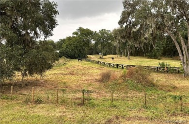 Four units at Lakeside of Inverness Condominium. Each condo 3 on LakeSide Country Club in Florida - for sale on GolfHomes.com, golf home, golf lot